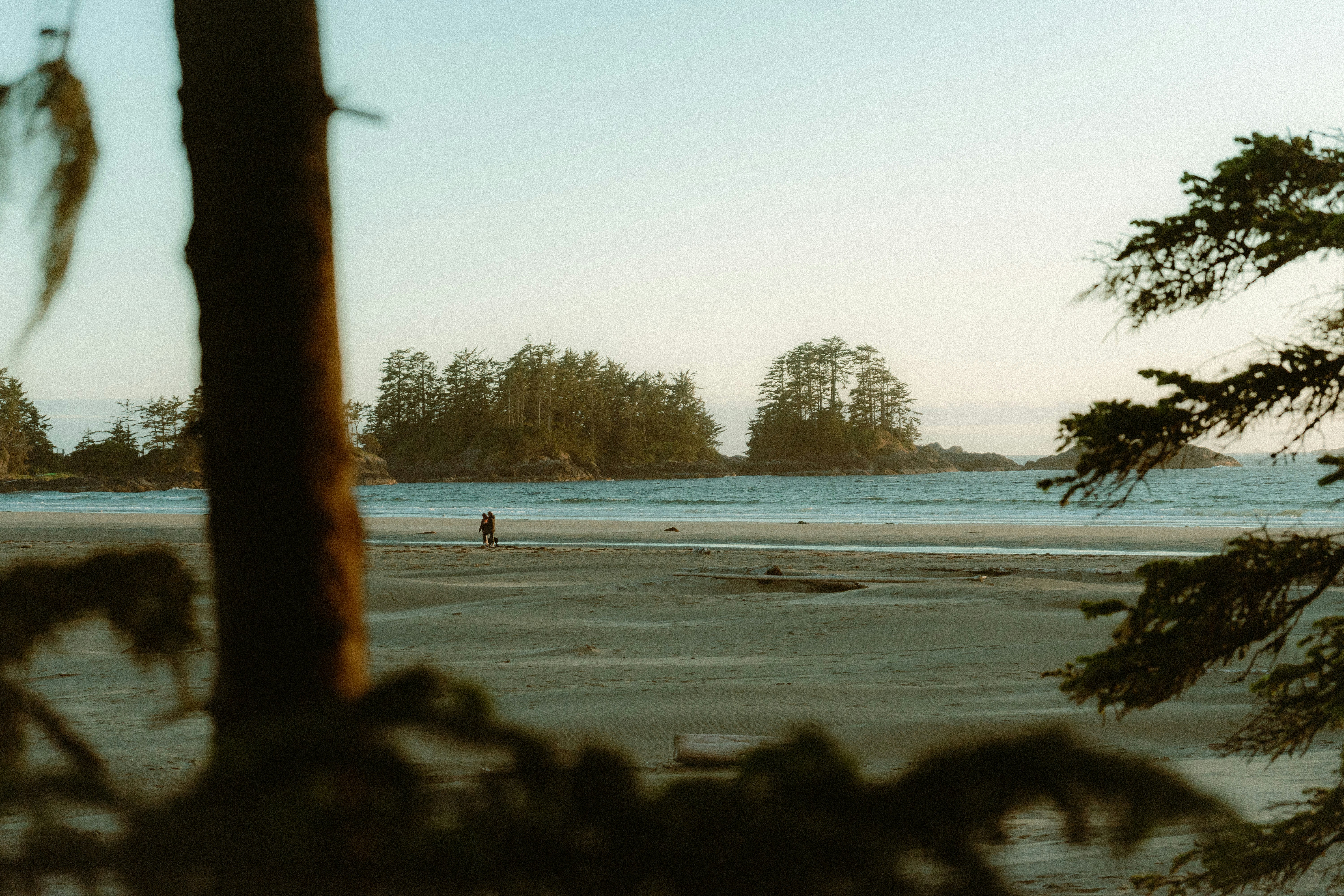 A couple walking a quiet beach near Tofino, framed by trees and small forested islands offshore