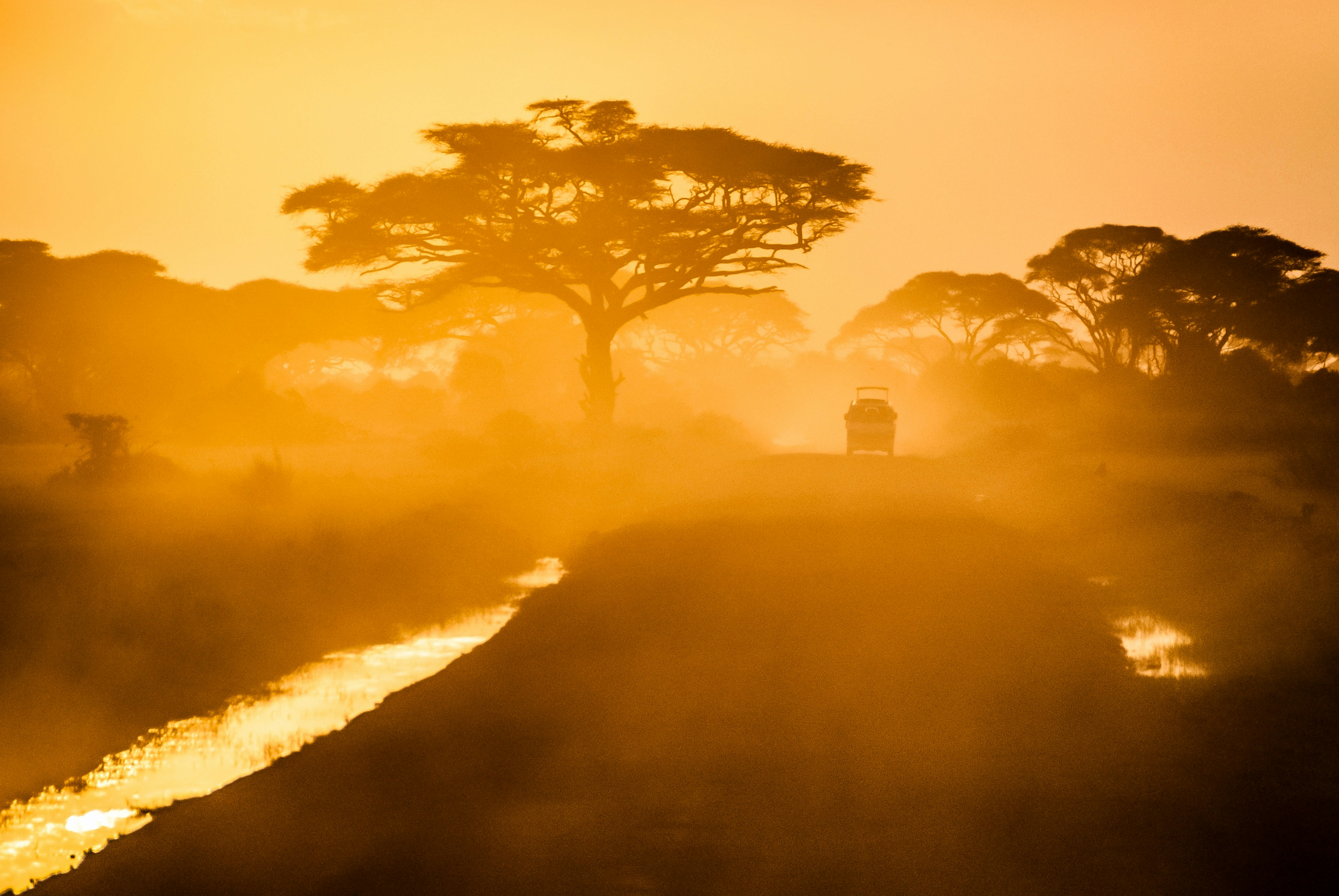 An open safari vehicle on the African savanna at golden hour