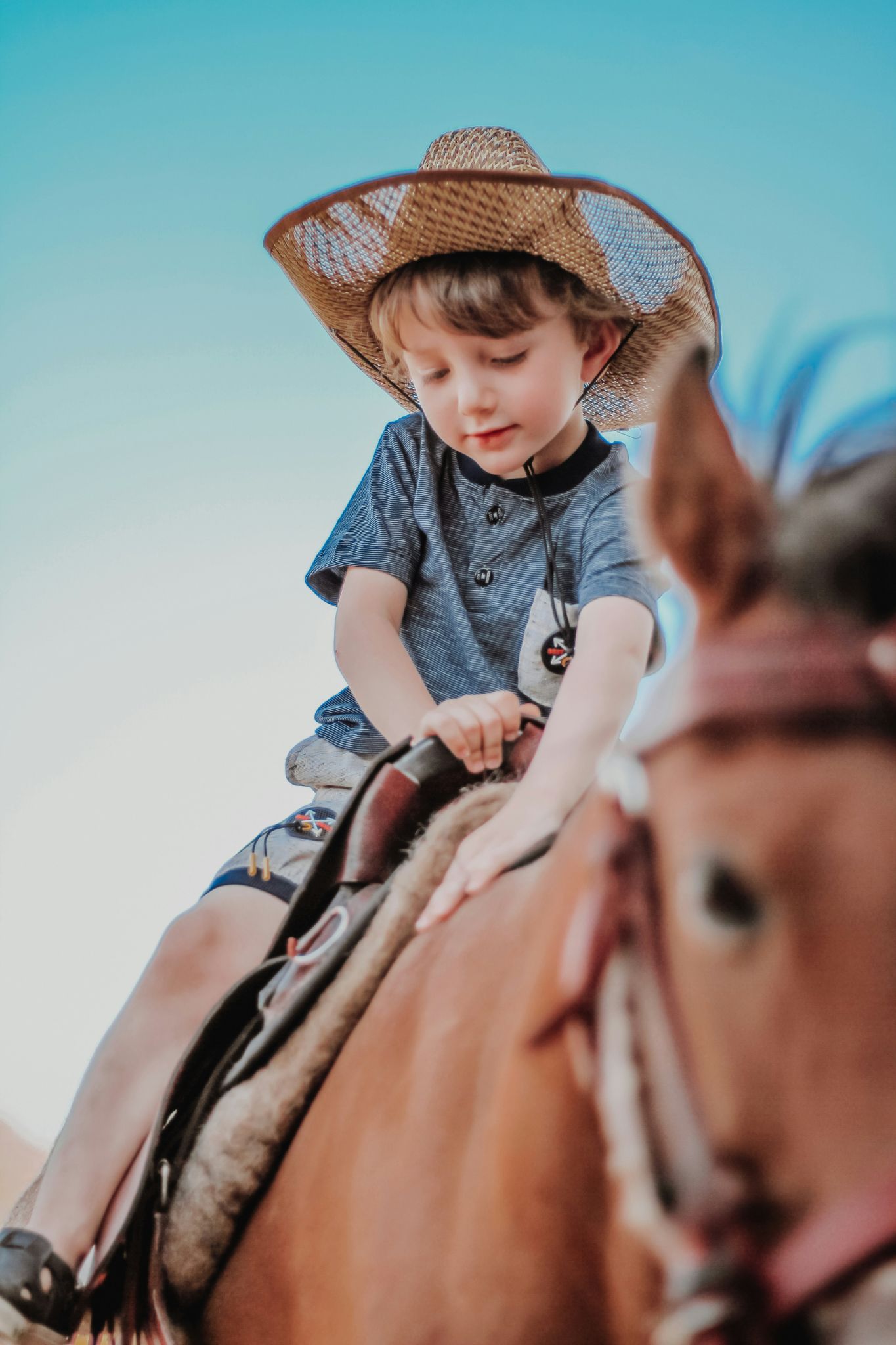 A family on horseback at a dude ranch